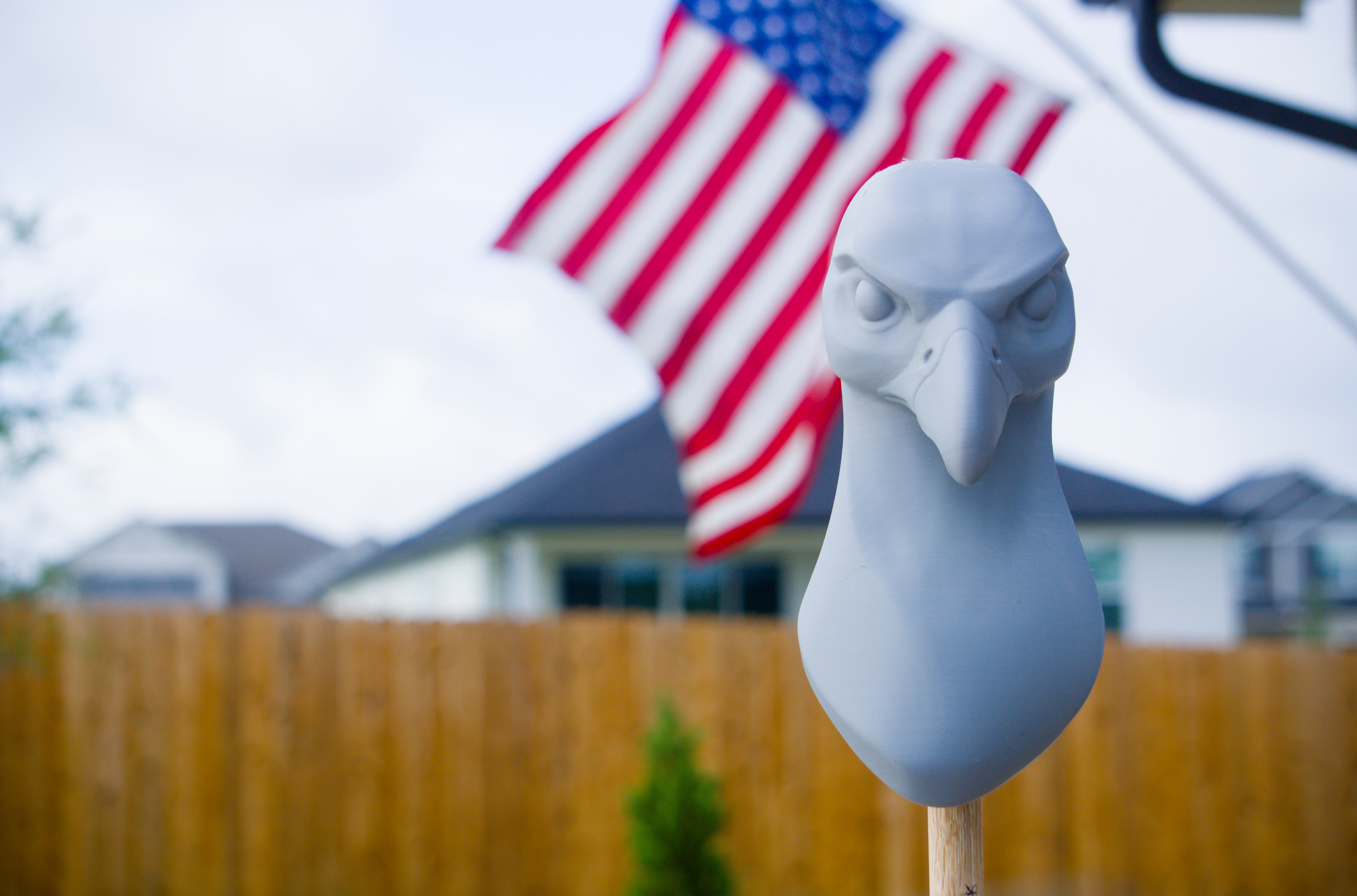 American Eagle sculpture study photographed outdoors